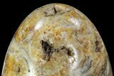 Polished Calcite Egg With Fossils In Cross Section - Madagascar #88726-2